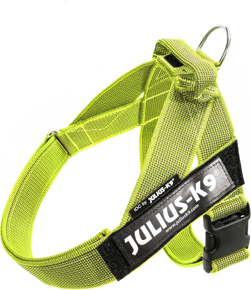 JULIUS-K9 IDC Color & Gray Belt Harness for Dogs MEDIUM