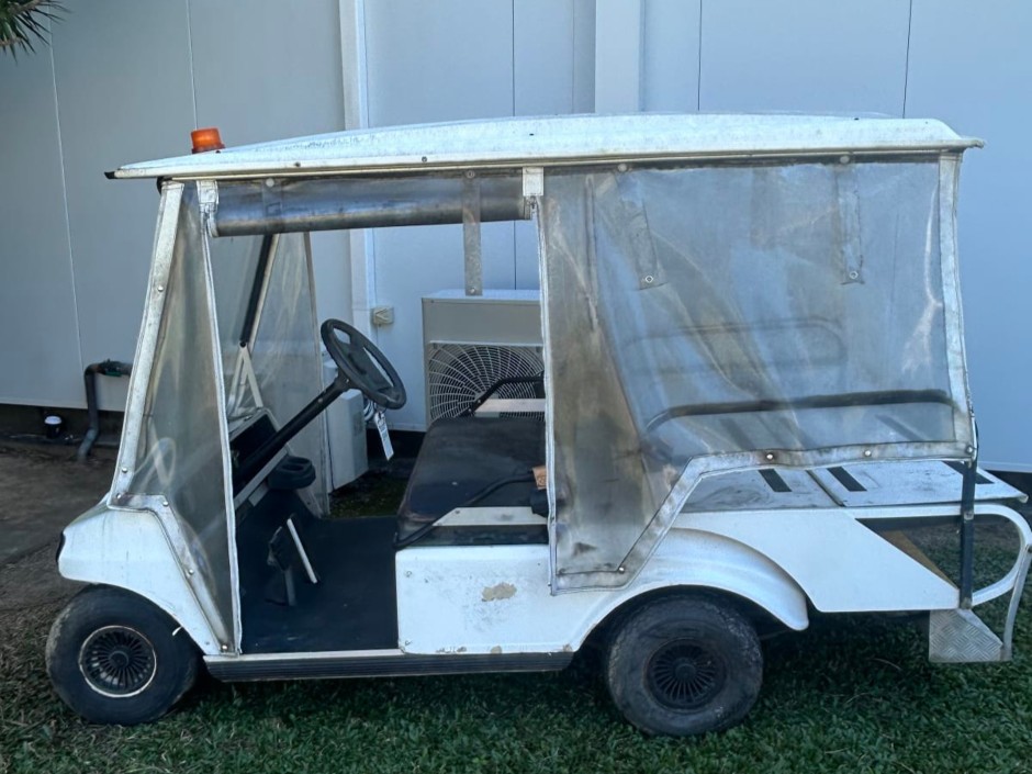 2007 Club Car People Mover Electric Golf Buggy