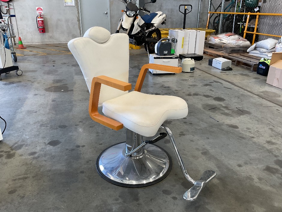 Barber Type Salon Chair