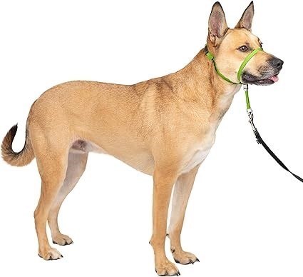 3 x PETSAFE Gentle Leader No-Pull Dog Headcollar, Medium, Green.