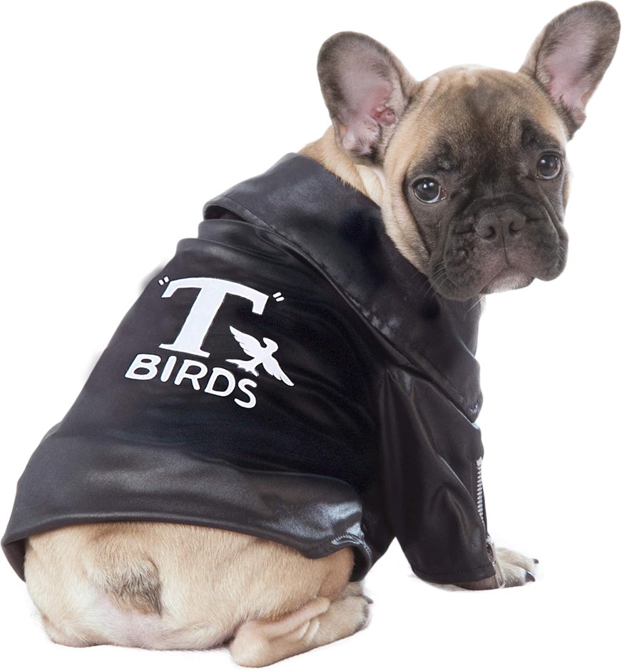 Rubies Grease Pet T-Birds Costume Jacket, Medium for Themed Parties and Hal