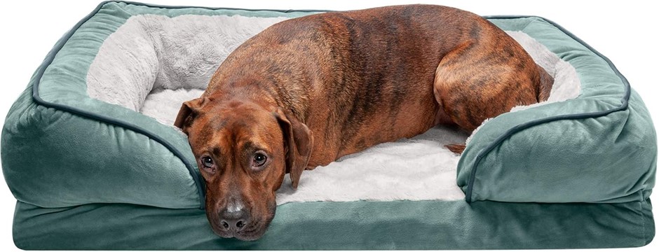 FURHAVEN LARGE Pet Dog Bed - Memory Foam Plush Velvet