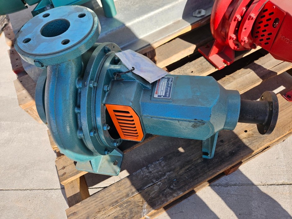 <p>REGENT ISO 100x65-250 CI-BR-SS END SUCTION CENTRIFUGAL PUMP</p>