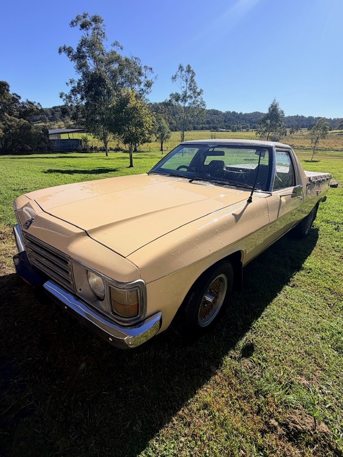 1980 Holden WB Ute Petrol