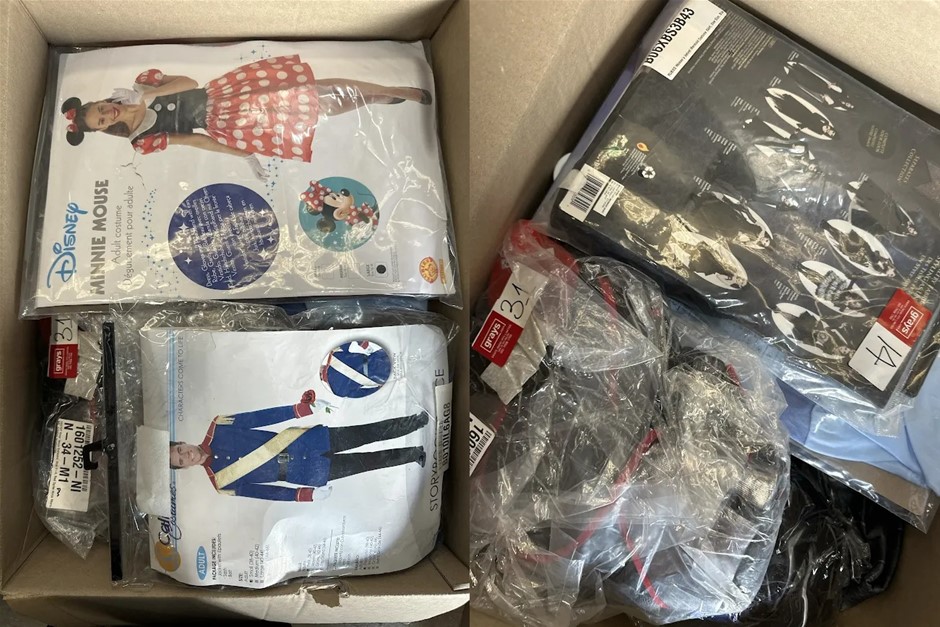 Bundle of Costumes - 1 Box