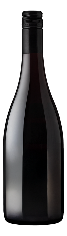 Casella 1919 Cleanskin Shiraz 2013 (12x 750mL) SA