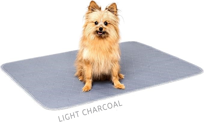 PIPCO PETS Washable Pee Pad for Dogs, Pets, 165cm x 165cm, Light Charcoal.