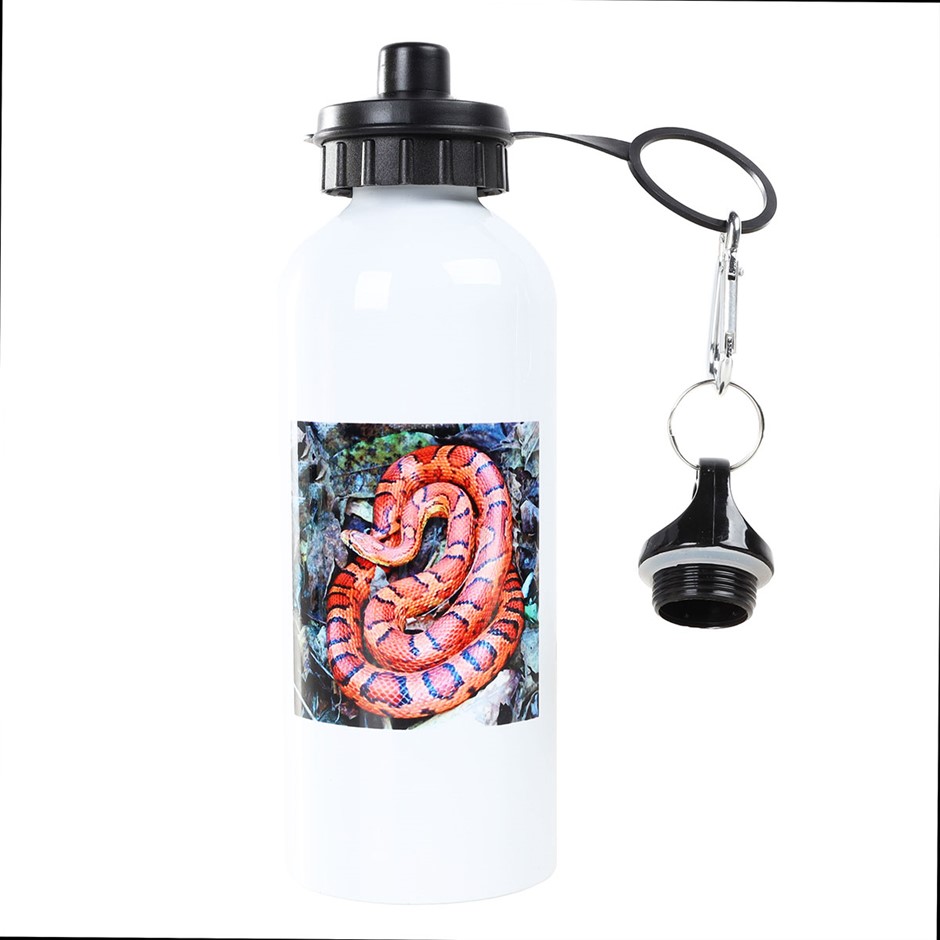 3DROSE Corn Snake Sports Water Bottle, 21oz, White. Buyers Note - Discount