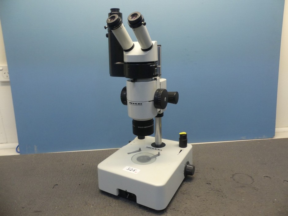 Microscope Stereo Trinocular