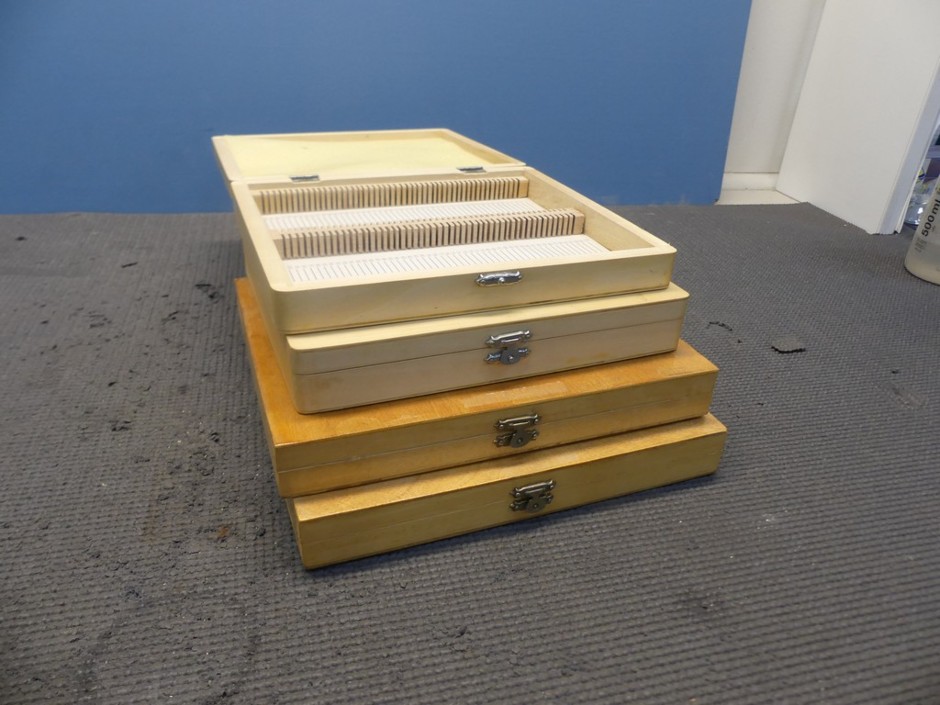 Microscope Slides Cases - 100 Pieces