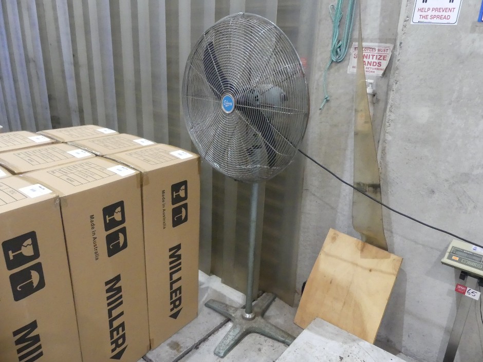 Ebony Pedestal Fan