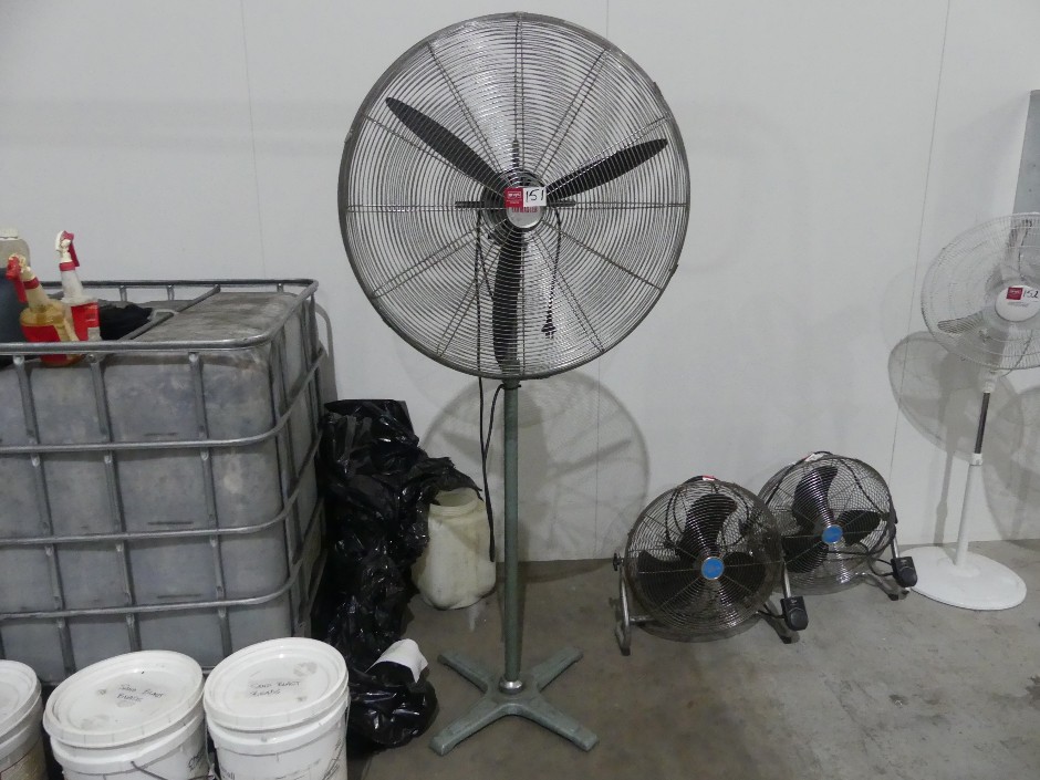 Fanmaster Pedestal Fan