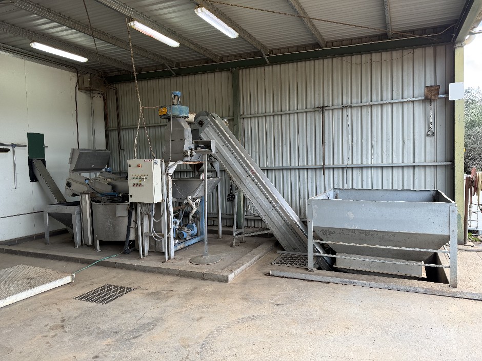Olive Farm Disposal Sale