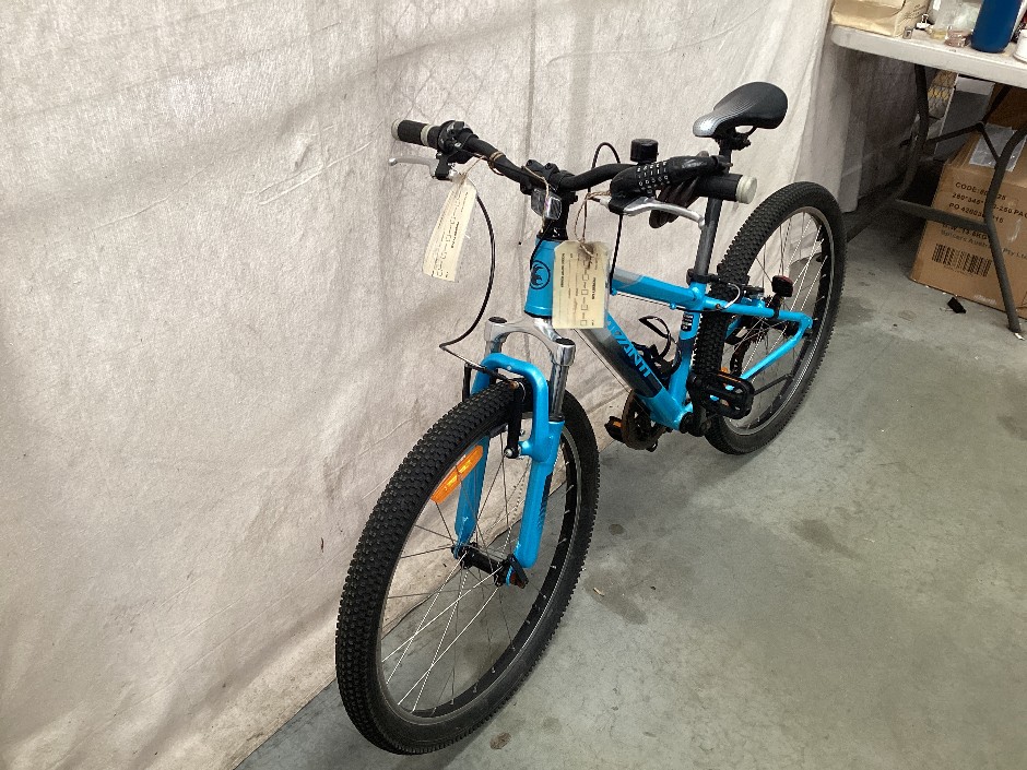 Blue Avanti kids Mountain Bike
