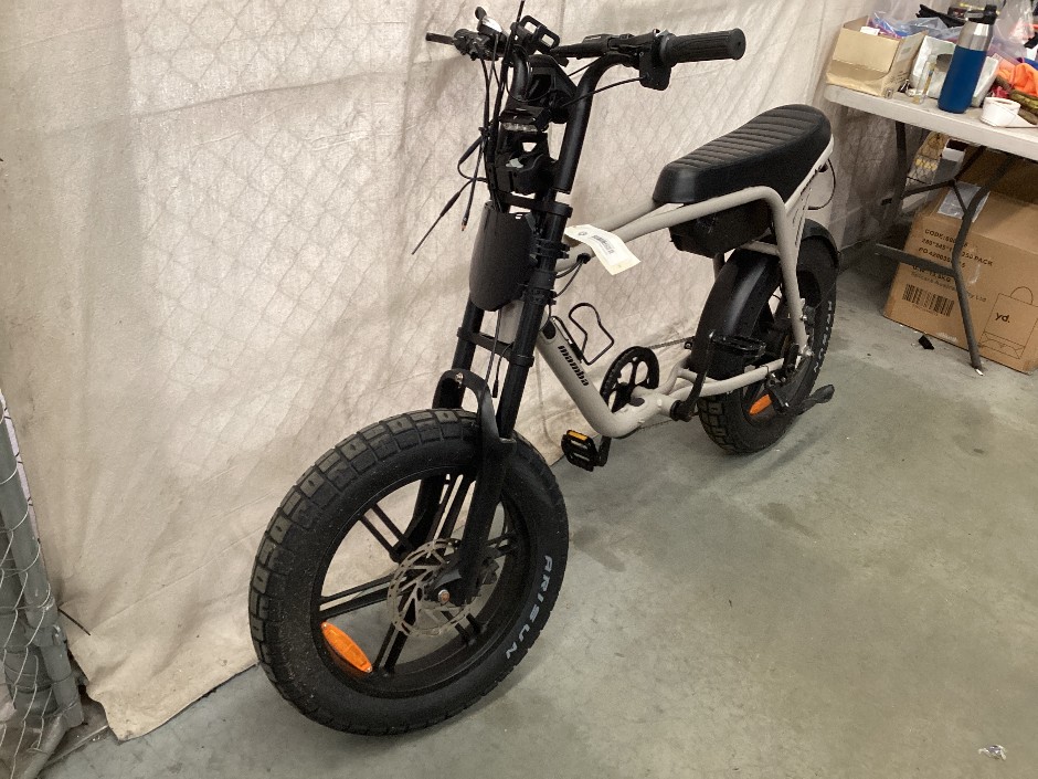 Mamba Electric Bike