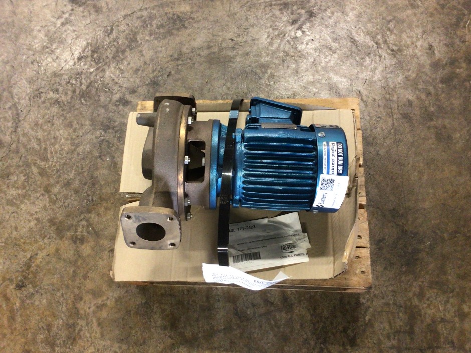 Regent In-Line Motor Pump