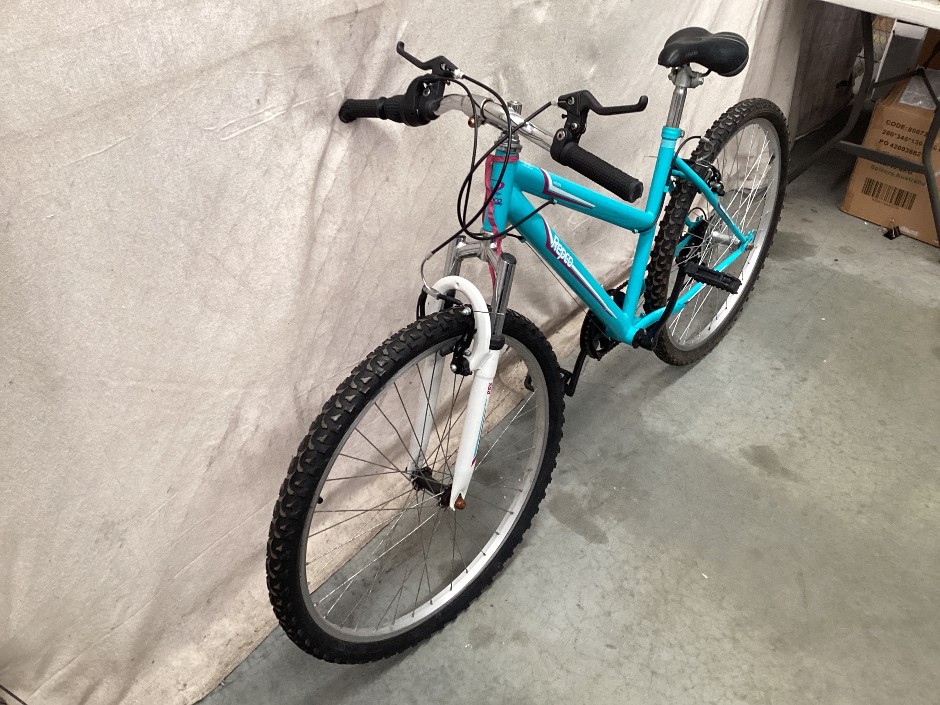 Repco Haven Bicycle