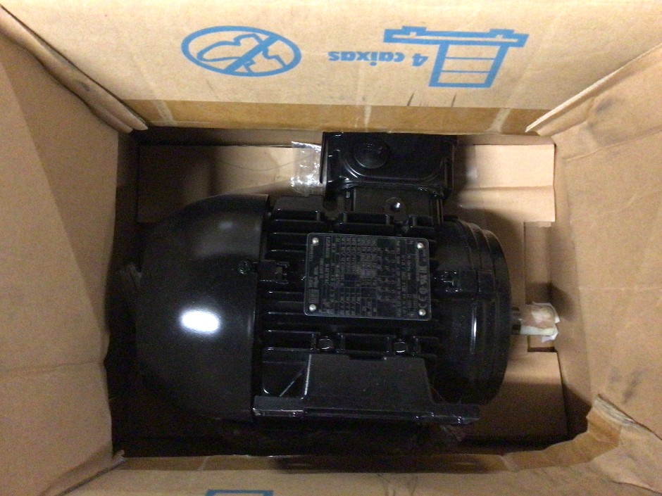 Weg Electric Motor