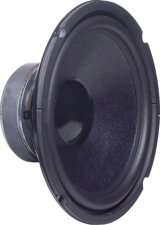 250mm (10") 120W Woofer PECC Speaker