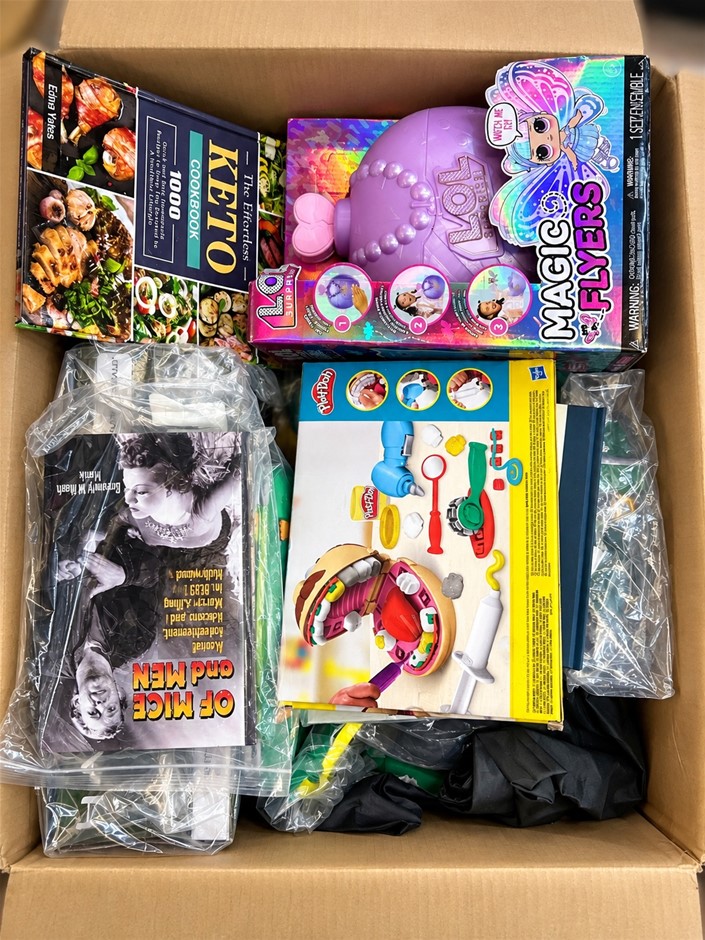 Assorted Toys and Books NB: photo as is