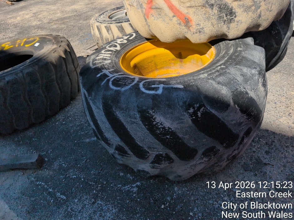 <p>WHEEL & TYRE (Site ID: 124.04)</p>