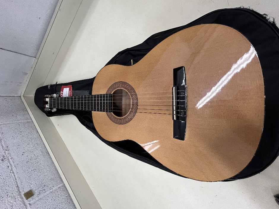 HOHNER HC03 Childs Accoustic Guitar with case