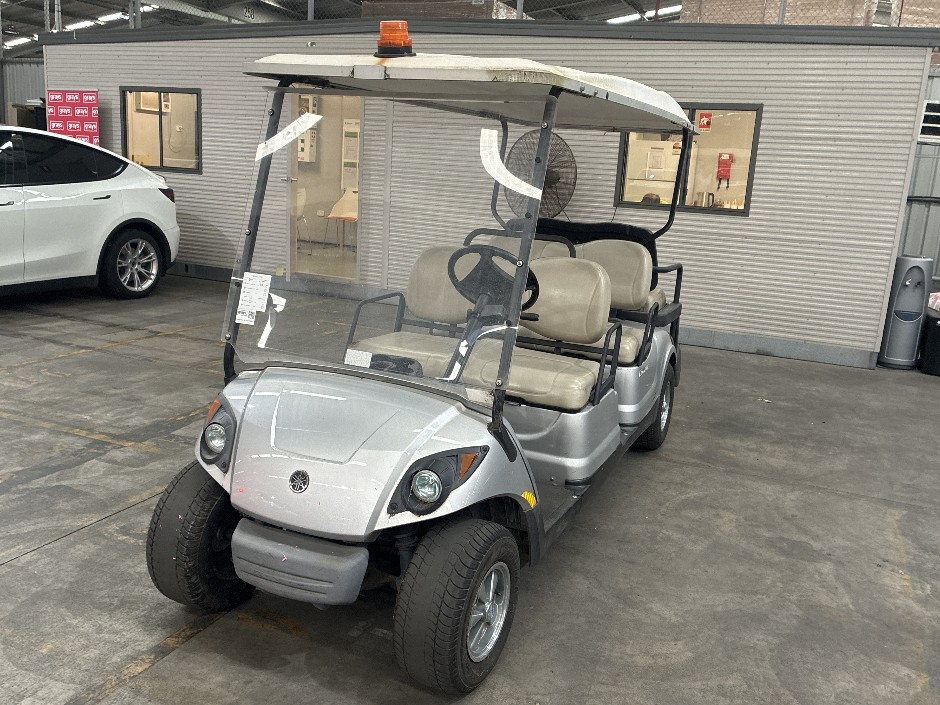2015 YAMAHA Concierge Electric