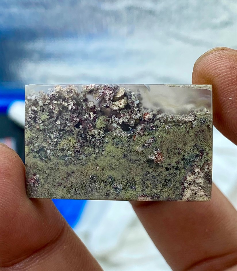 52.60 CT Spectacular Natural Moss Agate