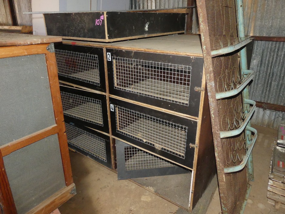 Pet Cages