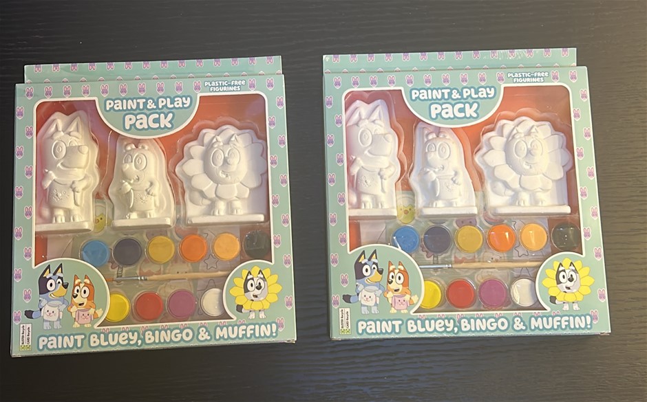 2x Paint & Play Packs