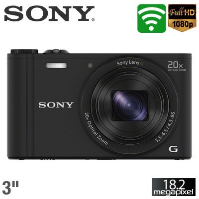 Sony Cyber-shot DSC-WX350 Digital Camera