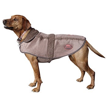 Weatherbeeta moleskin dog on sale coat