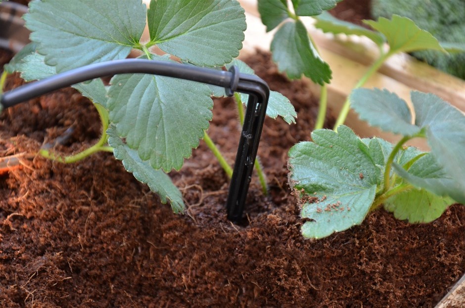 Maze Greenhouse Dripper Kit