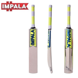 Impala Warrior 6 Junior Cricket Bat
