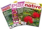 Gardening Series - 12 Month Subscription