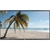 LG 42inch Class Full HD Display Monitor (42LS55A-5B)