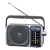 Panasonic RF-2400DGN-S Portable AM/FM Radio