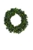 The Austrian Wreath 2ft - 130 tips in Green