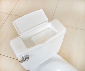 Potty Toilet Trainer - Bathroom Training