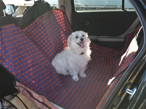Gizmo Dog Car/Hammock Seat Protector in 