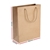 100pcs Kraft Paper Carry Bags Handbags with Handles Bulk Brown