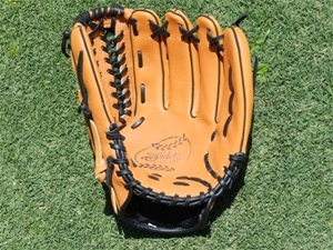Brett Lee Baseball Glove for Cricket - B