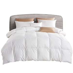 Giselle Bedding Queen Size Goose Down Qu