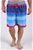 Coast Mens Gradient Stripe Printed Swim Short
