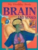 Brain and Senses