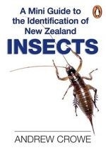 Mini Guide to Insects
