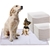 PaWz 400 Pcs 60x60 cm Pet Dog Toilet Training Pads Absorbent Meadow Scent