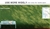 100SQM Artificial Grass Lawn Outdoor Synthetic Turf Plastic Plant Lawn