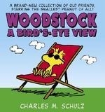 Woodstock a Bird's-Eye View
