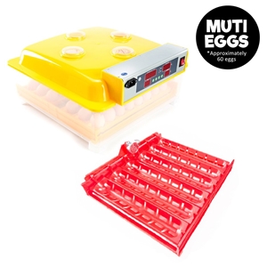 60 Eggs Digital Incubator With Tray